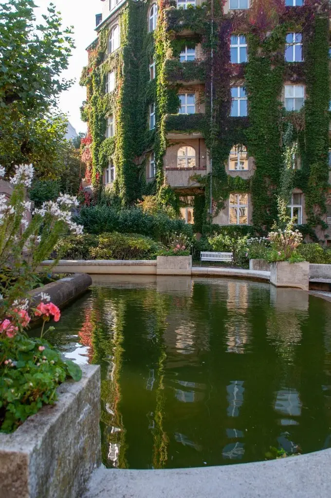 Facade covered with ivy - Image by wal_172619 from Pixabay